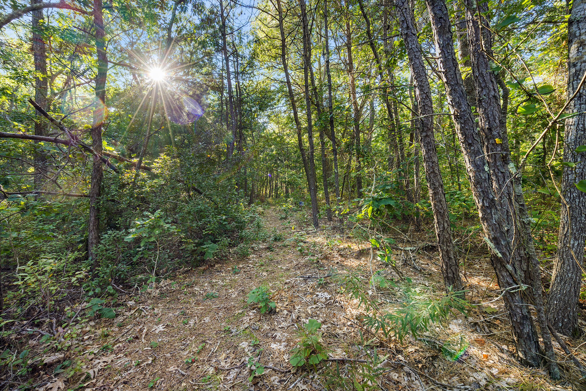 559 Old Jail Lane Barnstable MA 02630