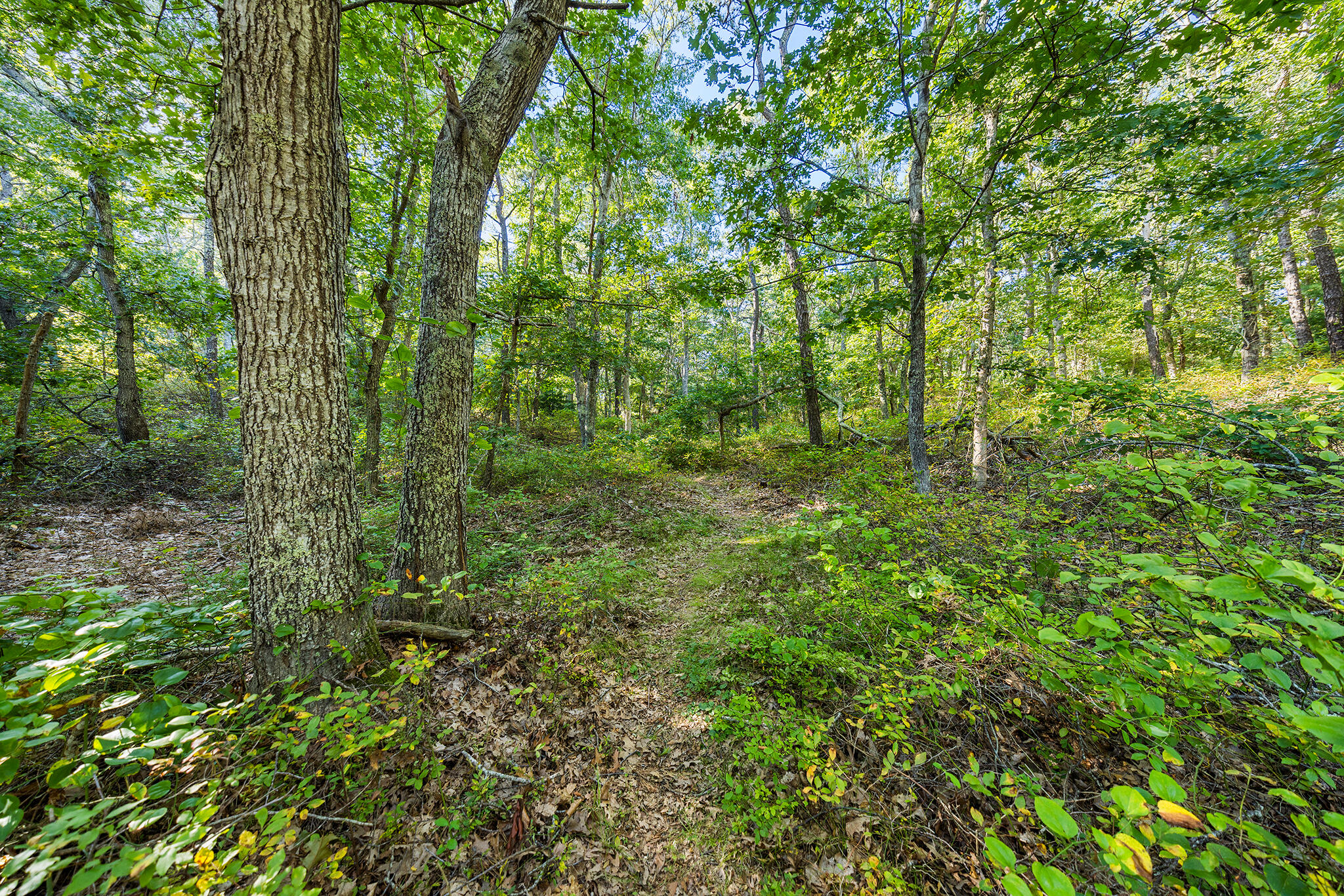 559 Old Jail Lane Barnstable MA 02630
