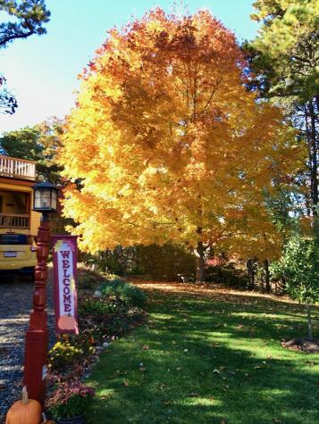 45 Starlight Lane Eastham MA 02642