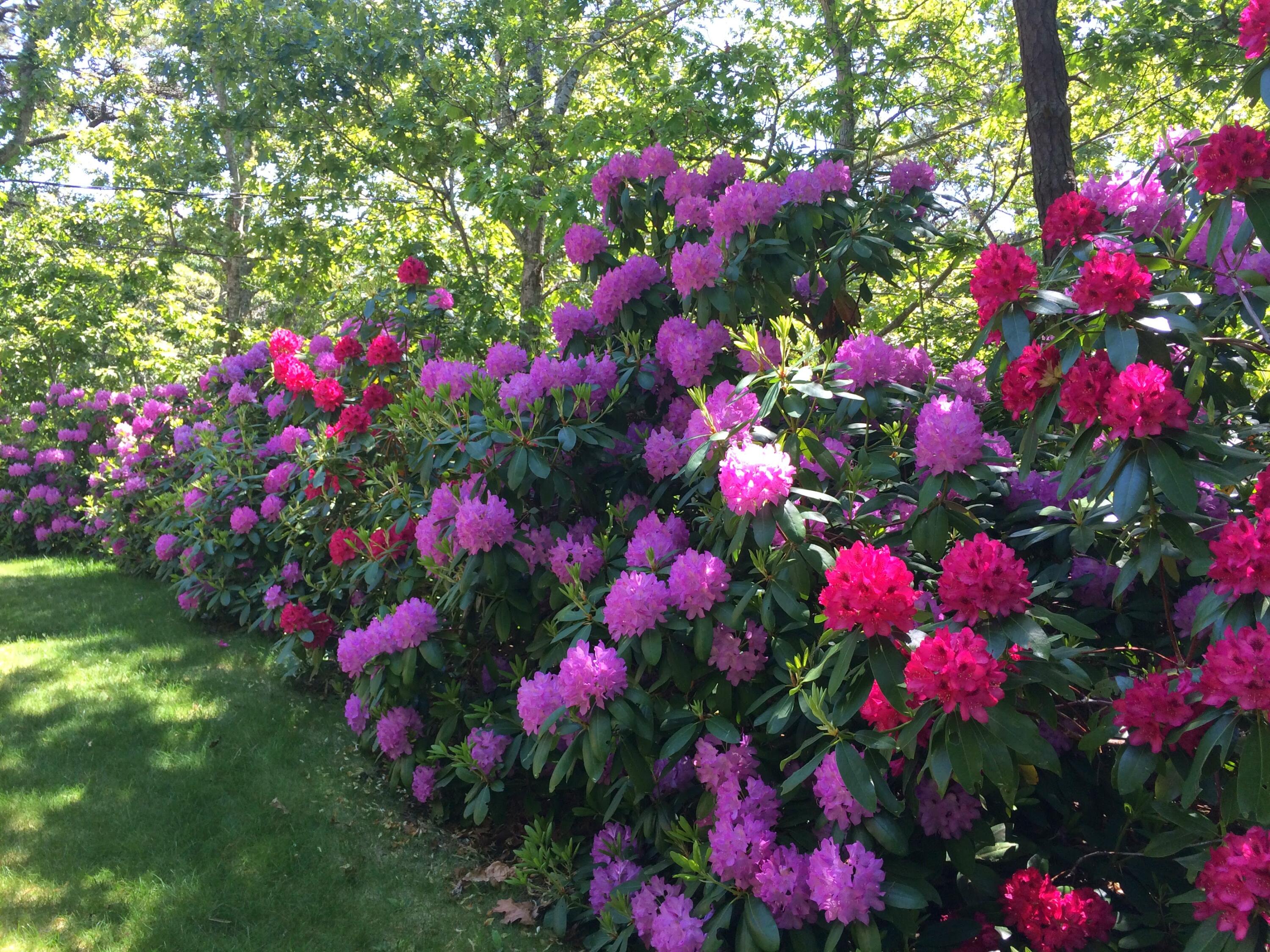 45 Starlight Lane Eastham MA 02642