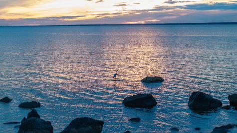 24 Westwood Road Falmouth MA 02556