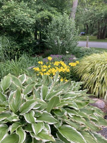 49 Great Hill Drive Barnstable MA 02668
