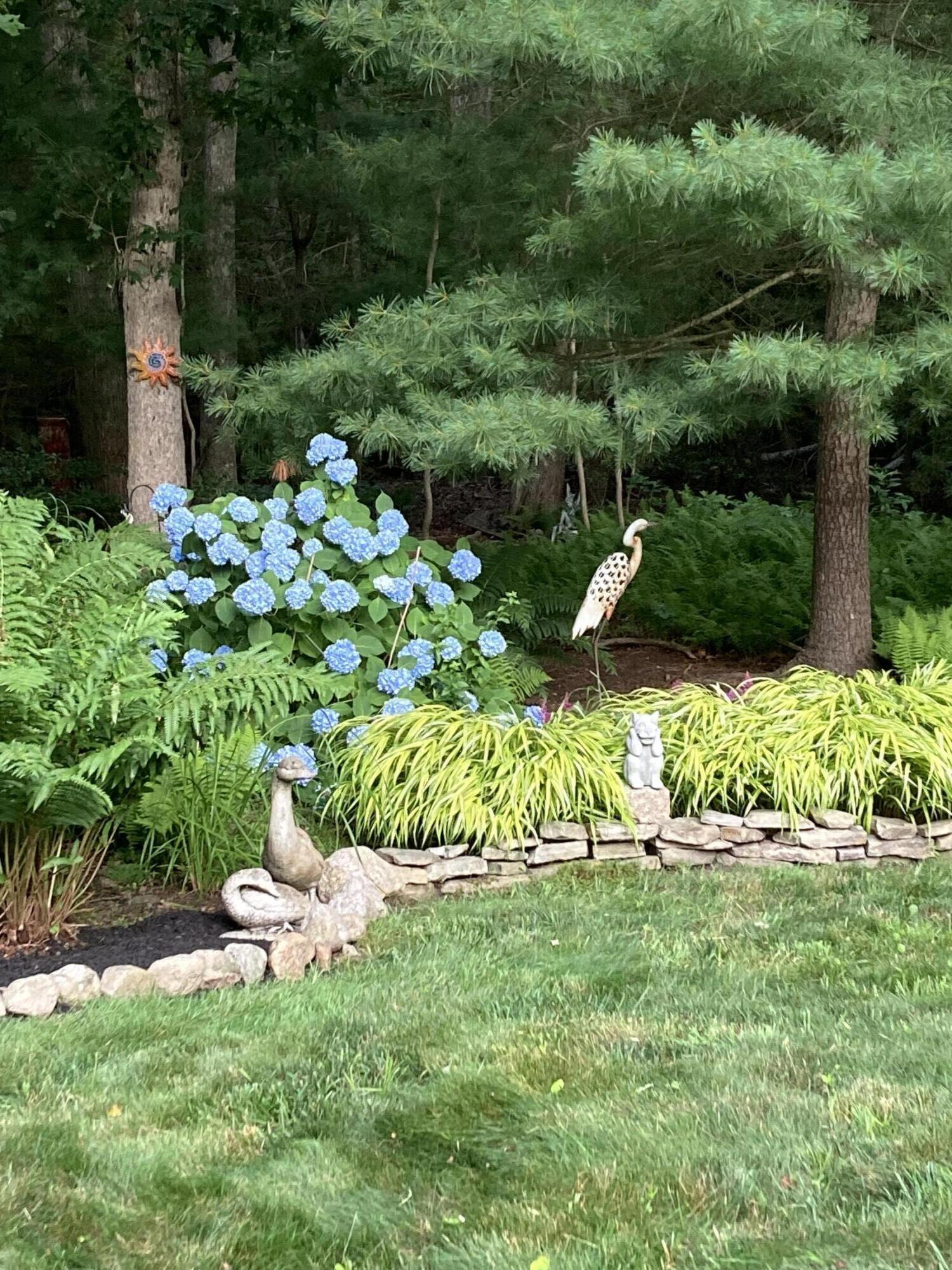 49 Great Hill Drive Barnstable MA 02668