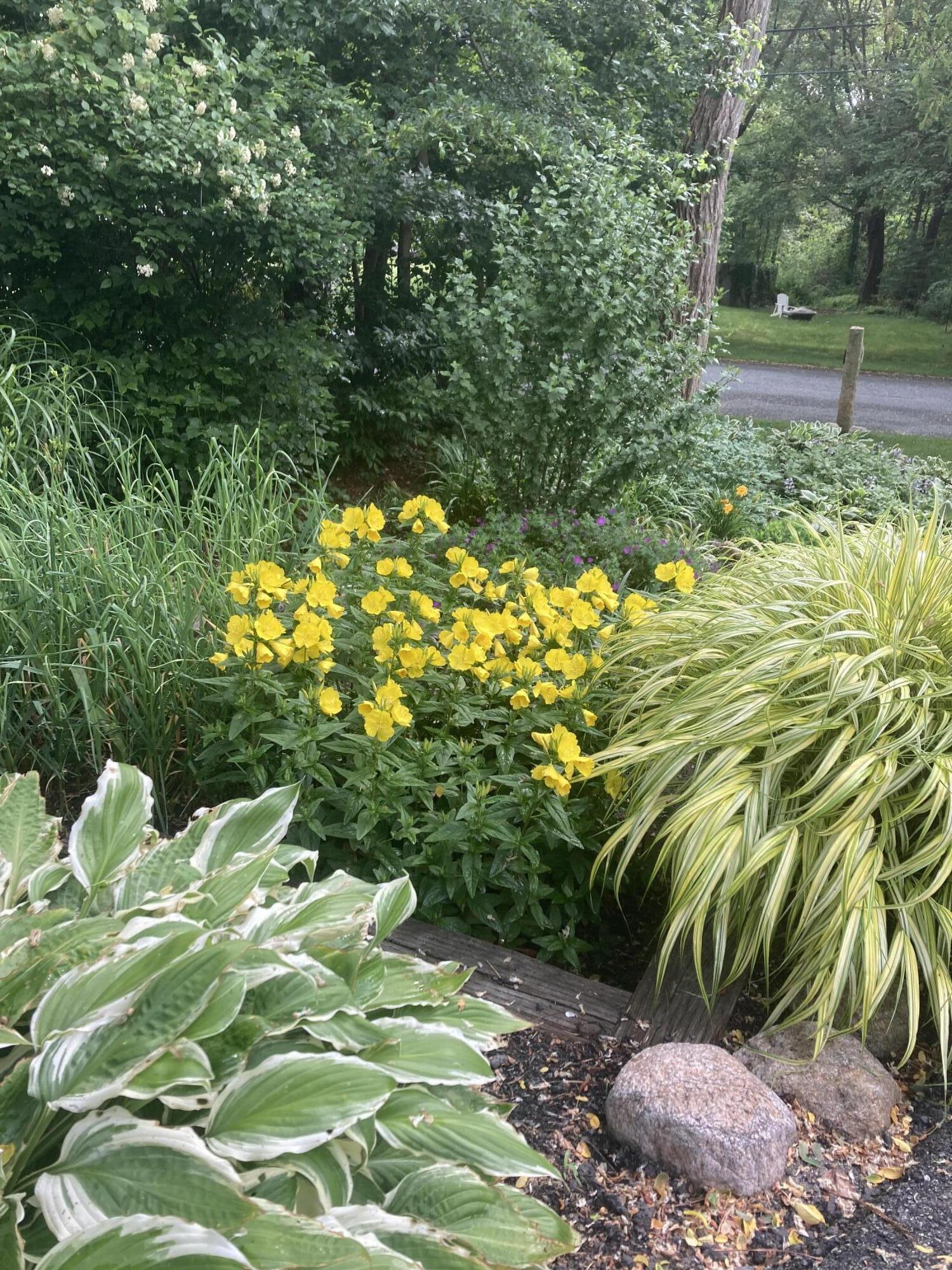 49 Great Hill Drive Barnstable MA 02668