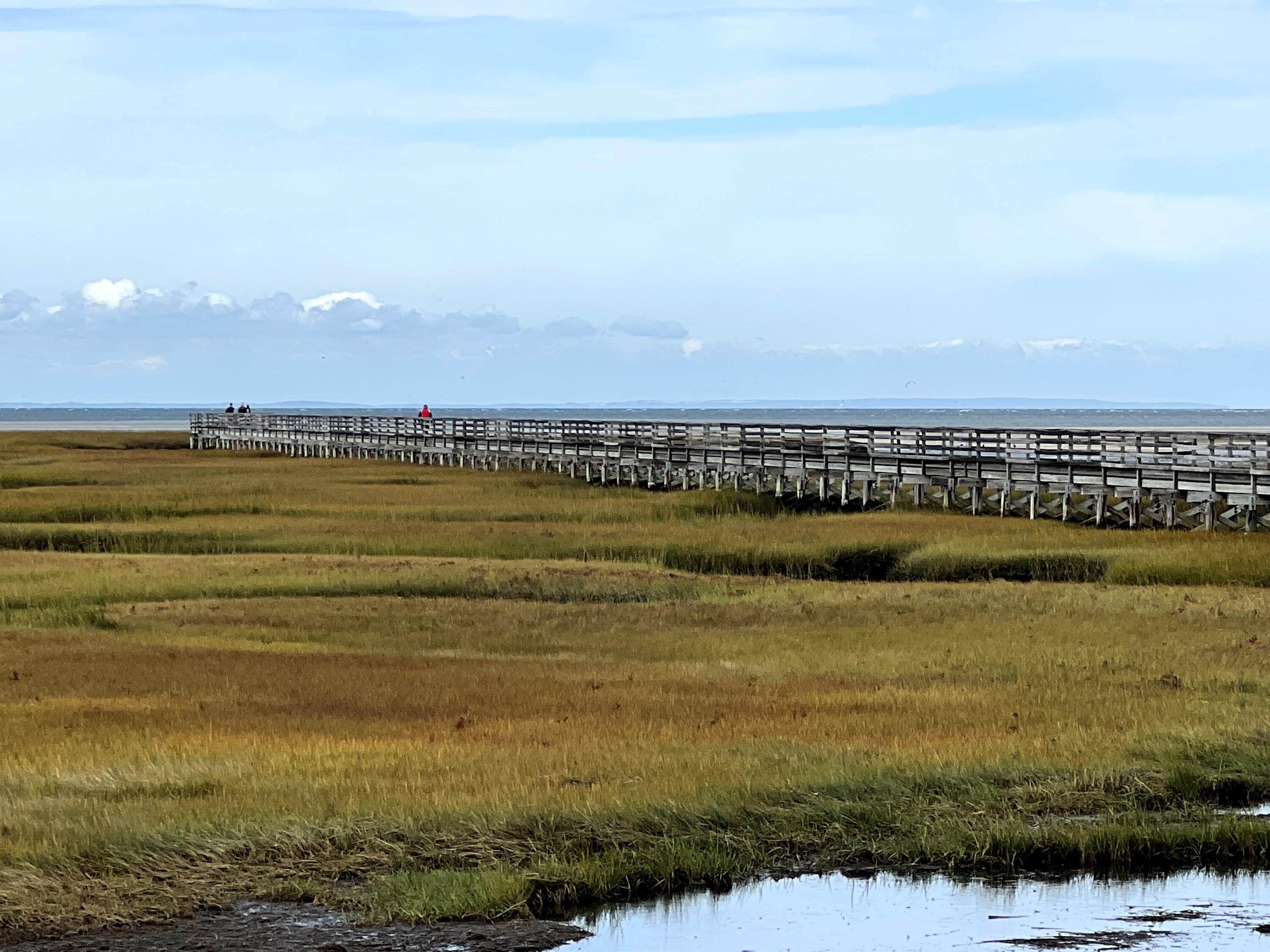 24 Minnetuxet Way Yarmouth MA 02675