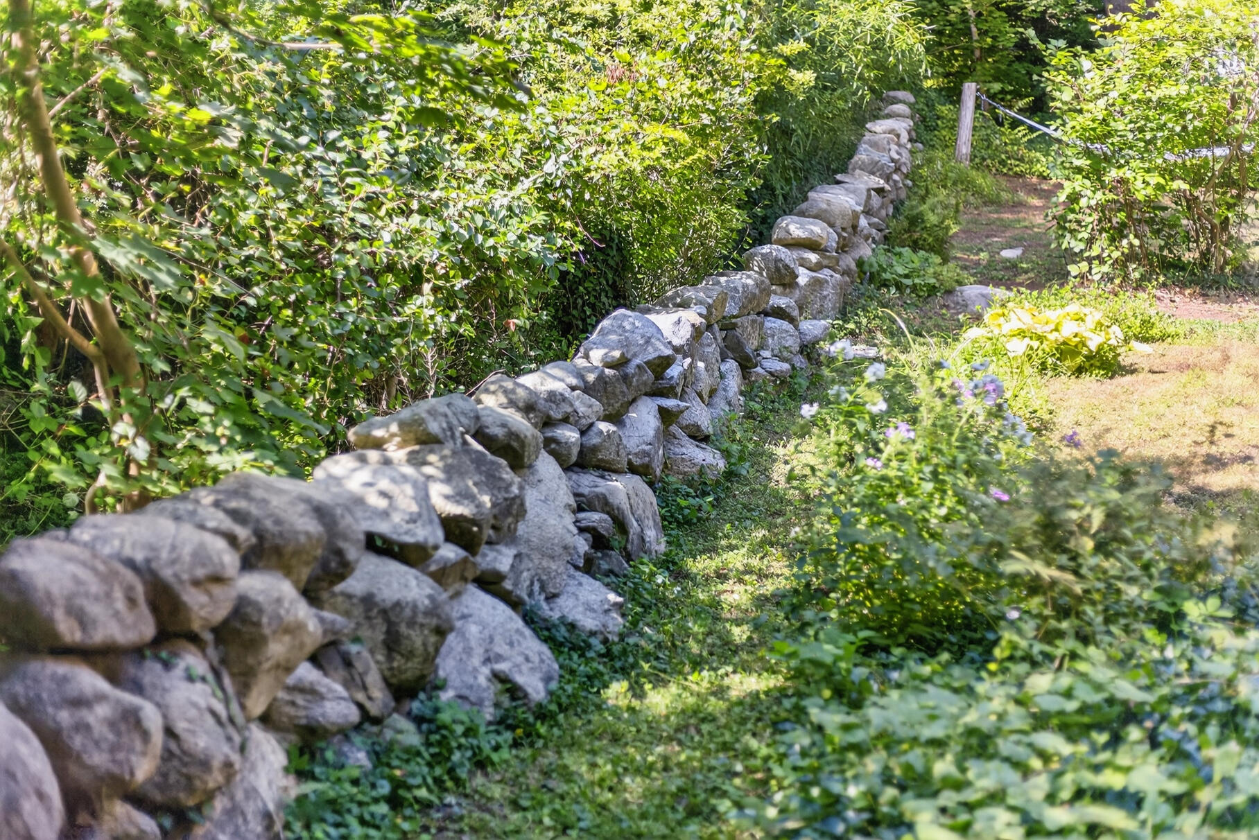 54 Whitman Road Falmouth MA 02543