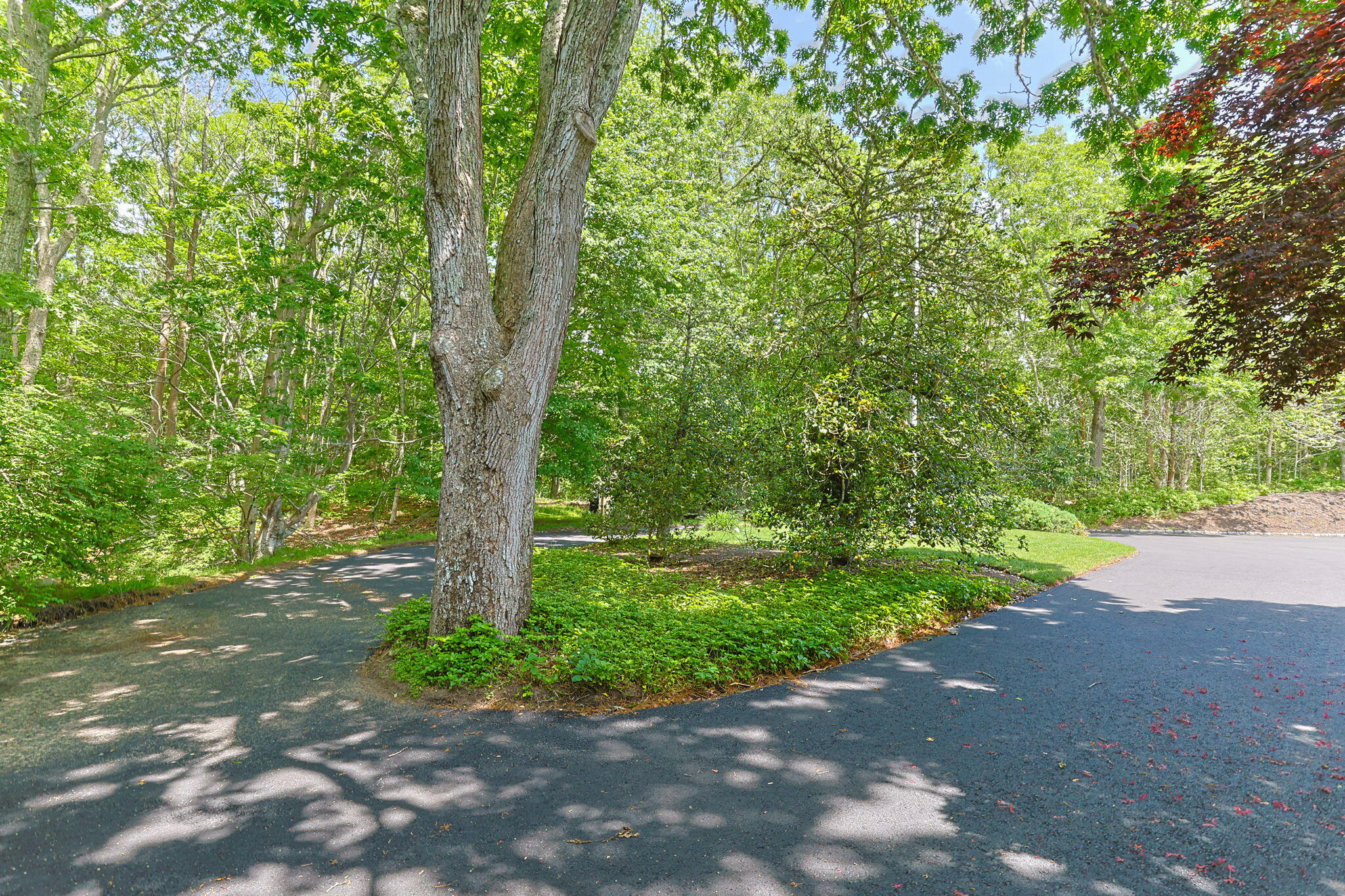 101 Two Ponds Road Falmouth MA 02540