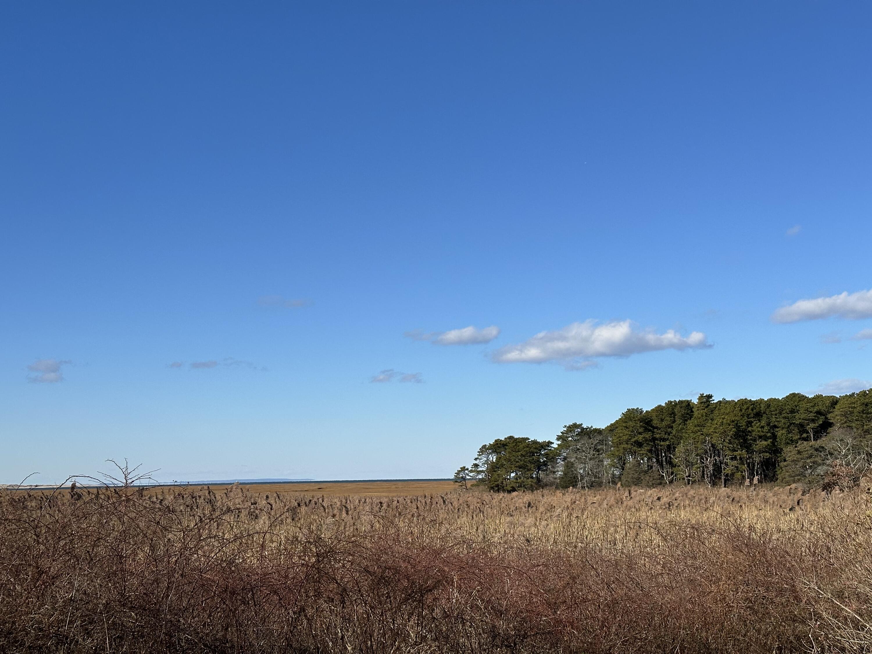 48 Wild Hunter Road Yarmouth MA 02675