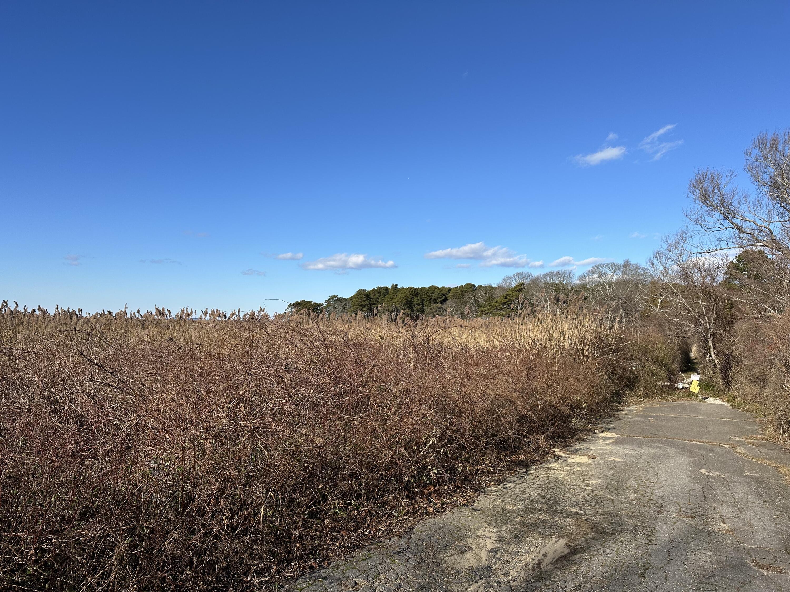 48 Wild Hunter Road Yarmouth MA 02675