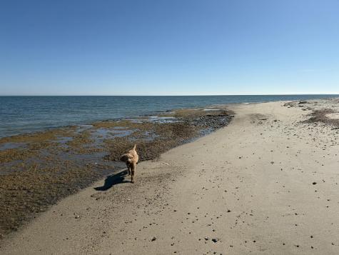 16 Bosuns Lane Mashpee MA 02649