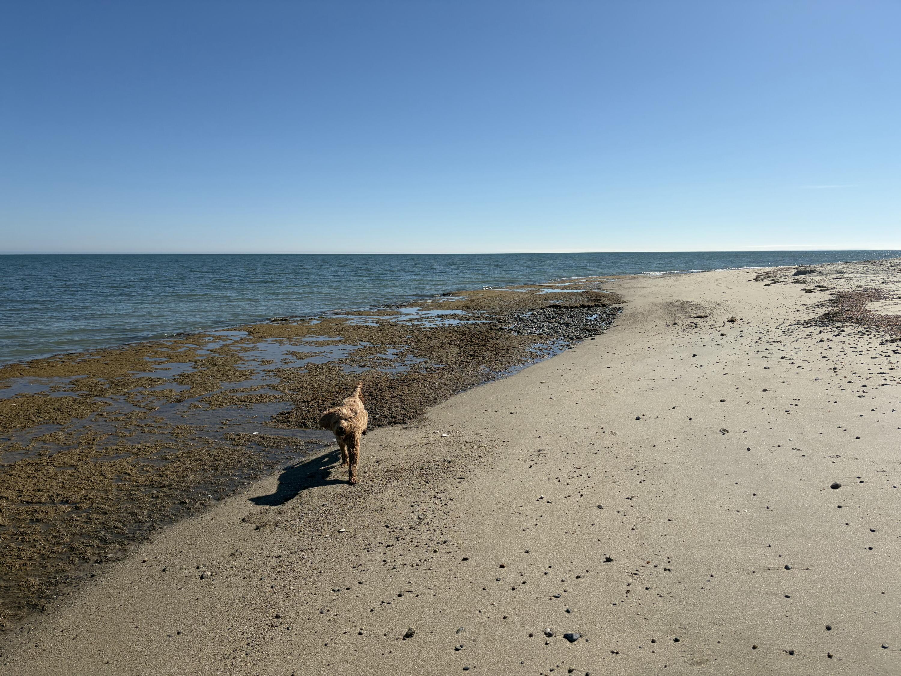 16 Bosuns Lane Mashpee MA 02649