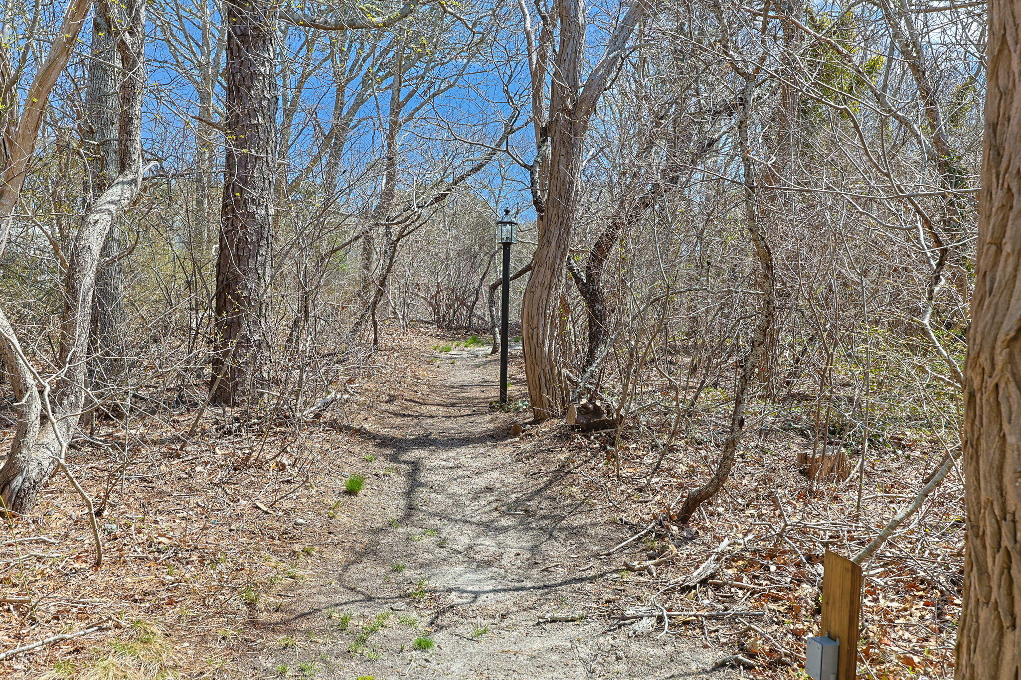 1551 Us Route 6 Wellfleet MA 02667