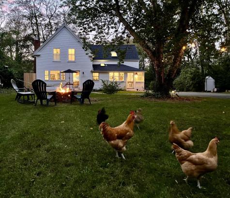 9 Locust Road Orleans MA 02653