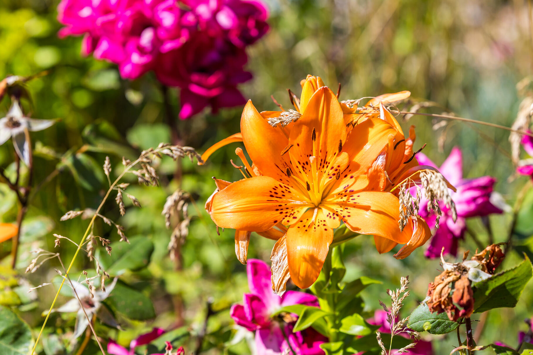 99 Route 130 Sandwich MA 02644