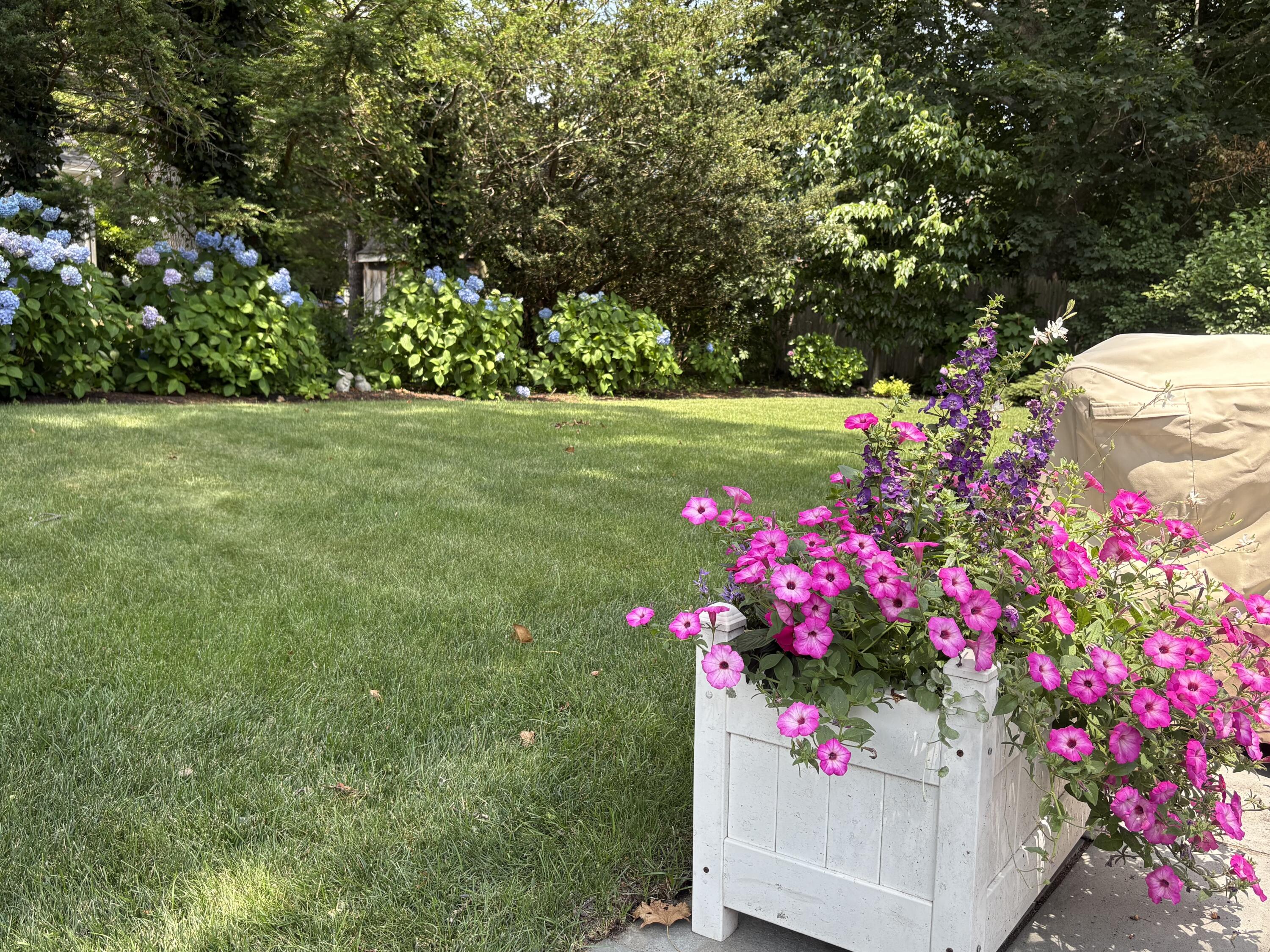 121 Eileen Street Yarmouth MA 02675