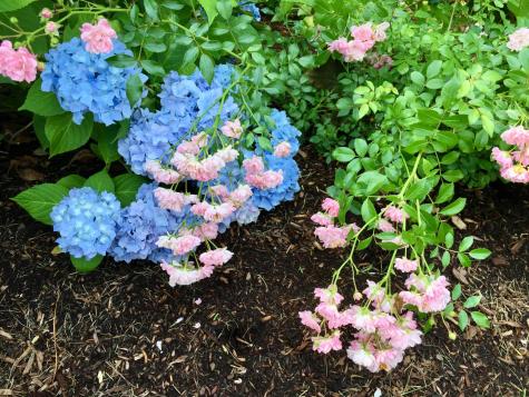 121 Eileen Street Yarmouth MA 02675