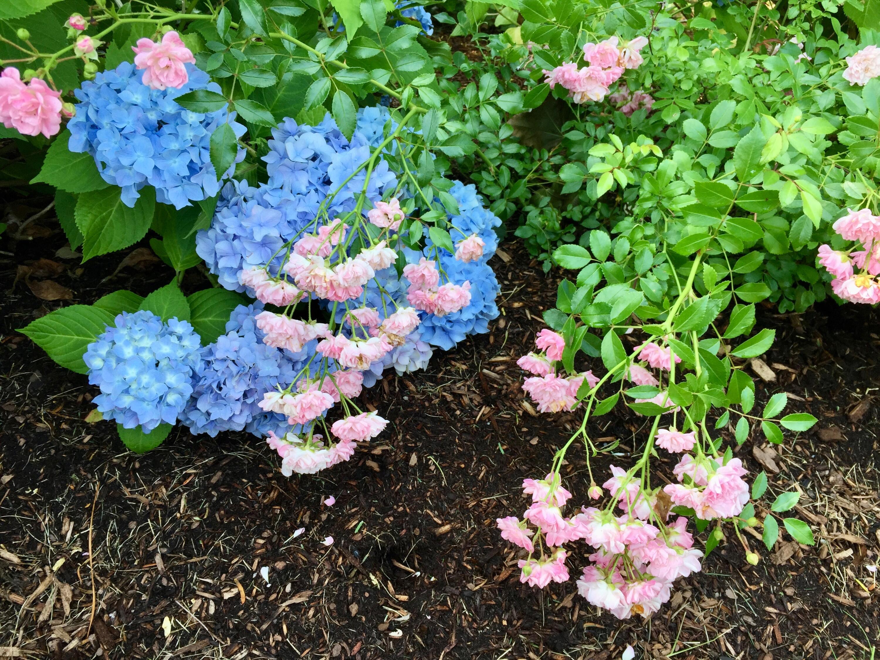 121 Eileen Street Yarmouth MA 02675