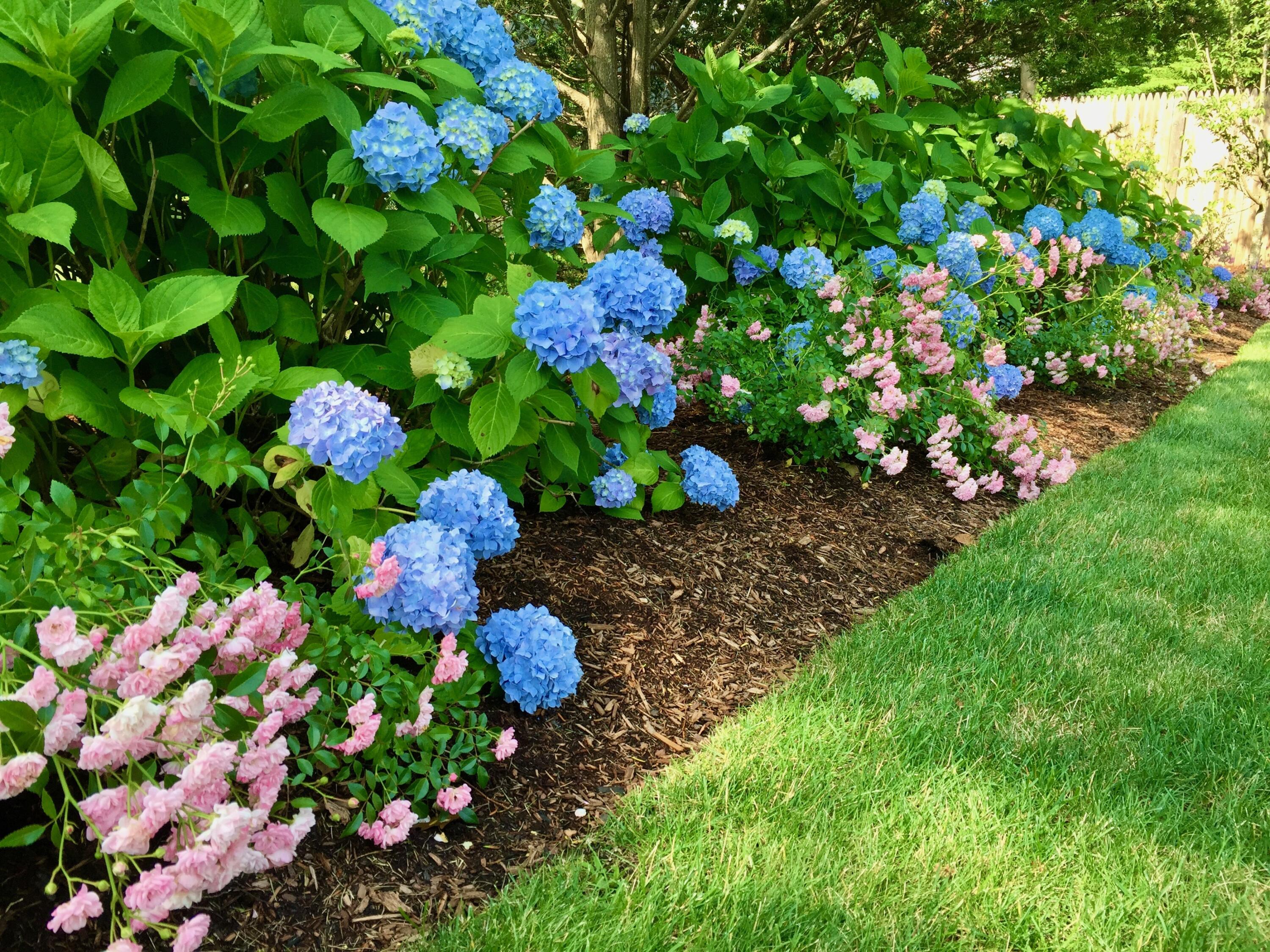 121 Eileen Street Yarmouth MA 02675