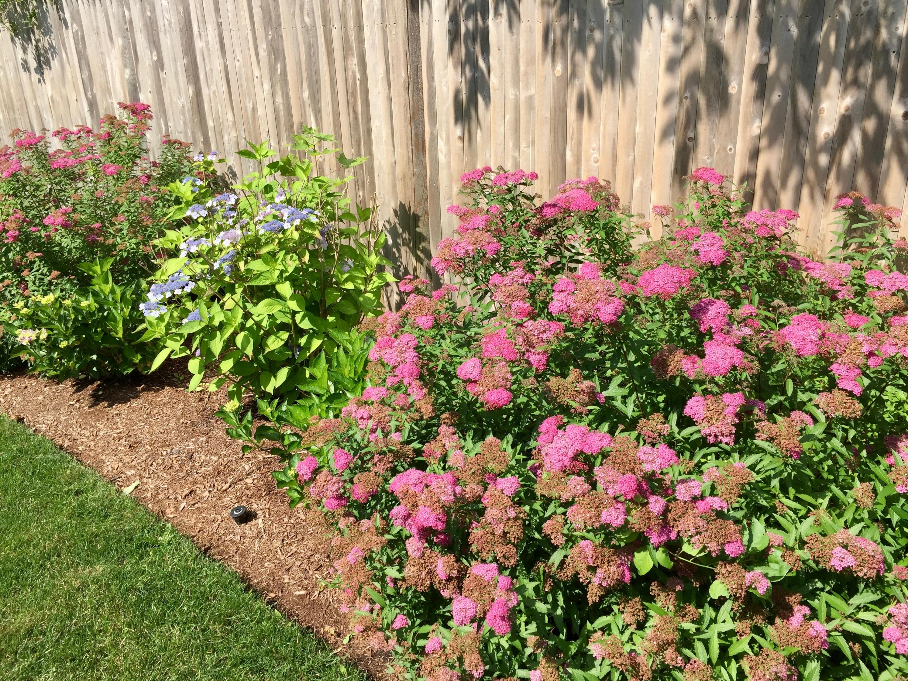 121 Eileen Street Yarmouth MA 02675