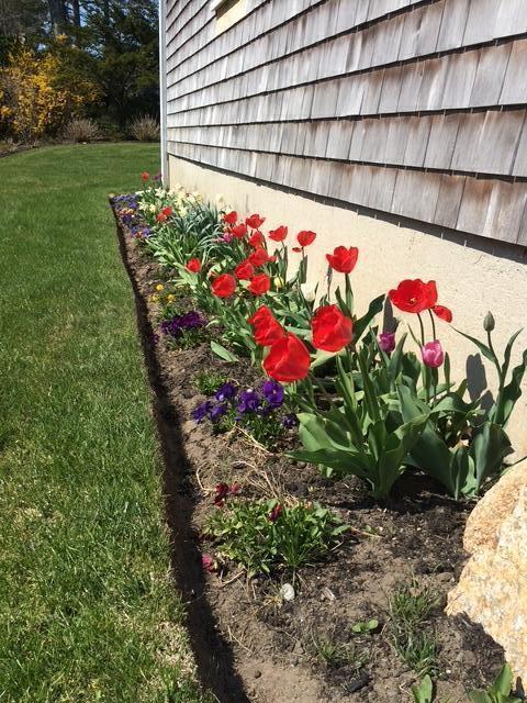 121 Eileen Street Yarmouth MA 02675