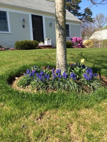 121 Eileen Street Yarmouth MA 02675