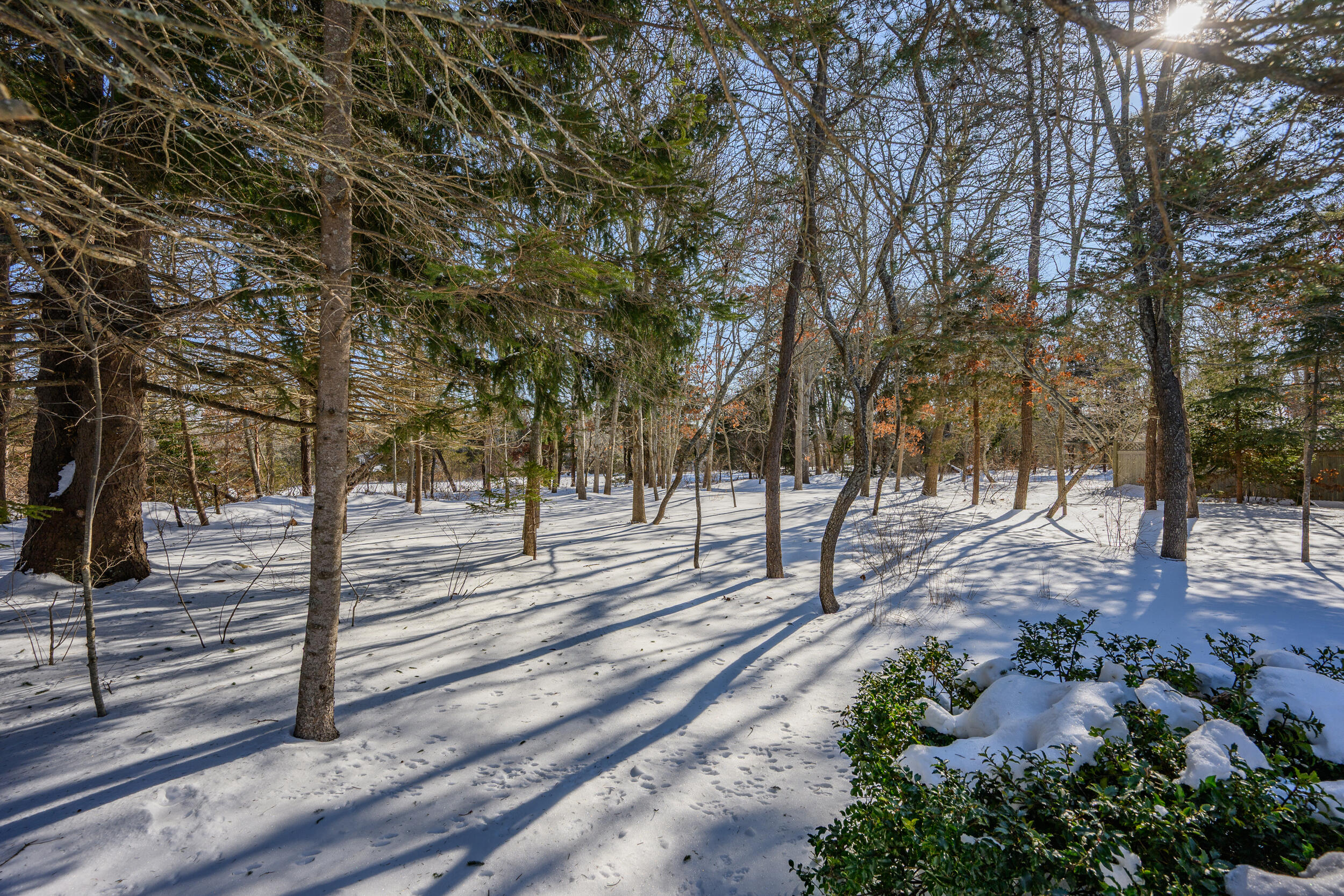39 Spruce Run Drive Brewster MA 02631