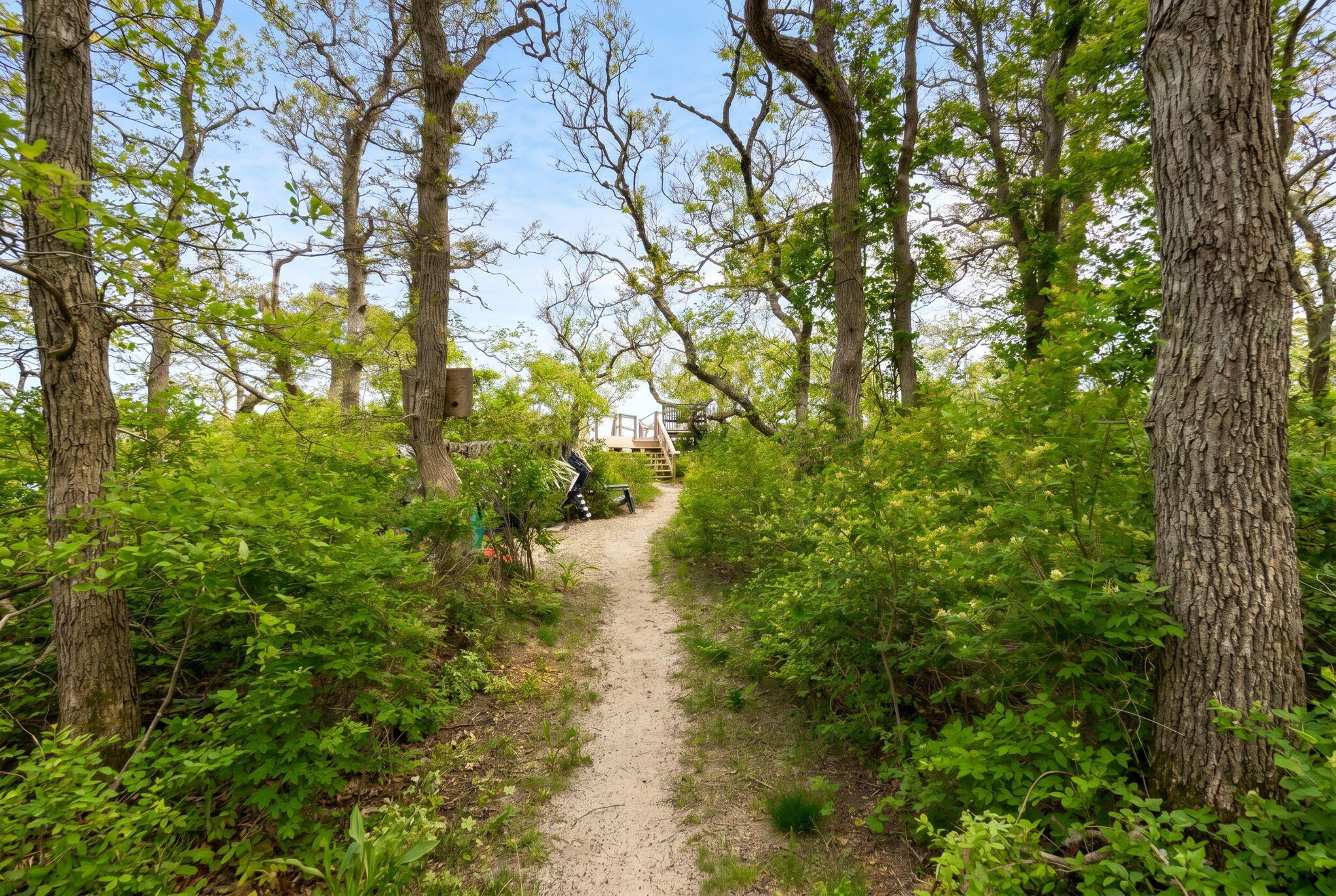 61 & 0 Bonnie Doone Cartway Brewster MA 02631