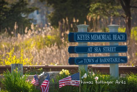217 Greenwood Avenue Barnstable MA 02601