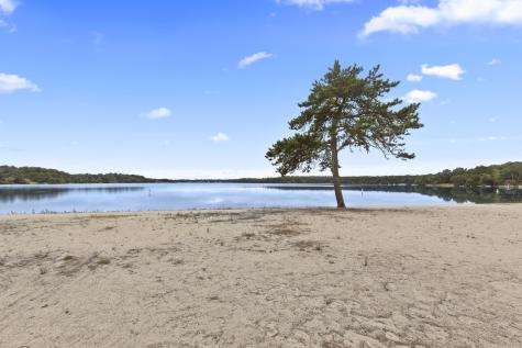 117 Ruxton Circle Mashpee MA 02649