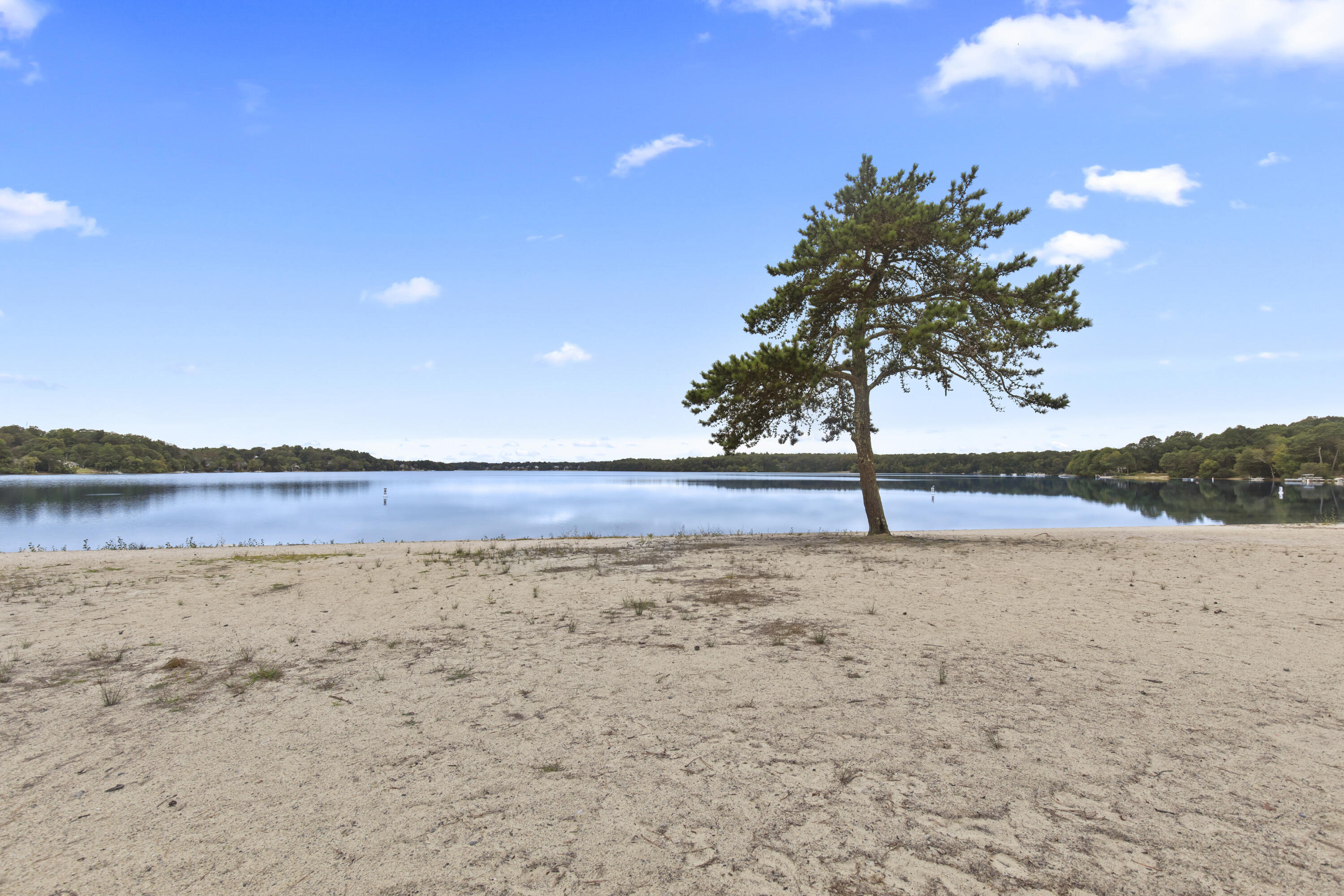 117 Ruxton Circle Mashpee MA 02649