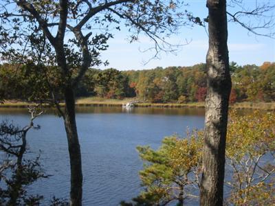 Cotuit MA 02635