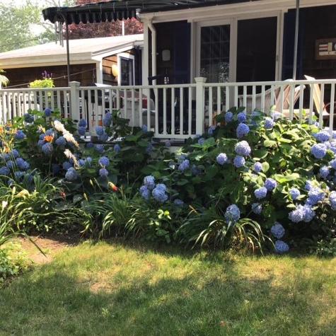 168 Ninigret Avenue Mashpee MA 02649