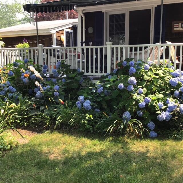 168 Ninigret Avenue Mashpee MA 02649
