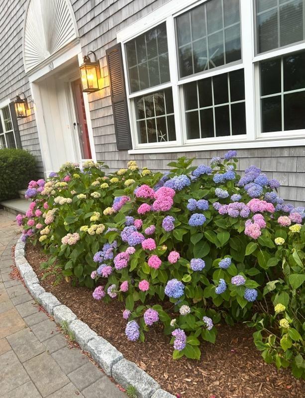 160 Quail Cover Lane Eastham MA 02642