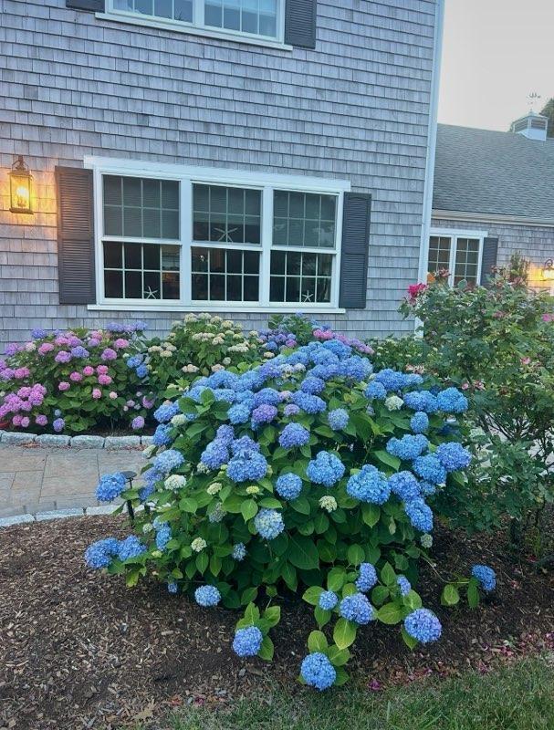 160 Quail Cover Lane Eastham MA 02642