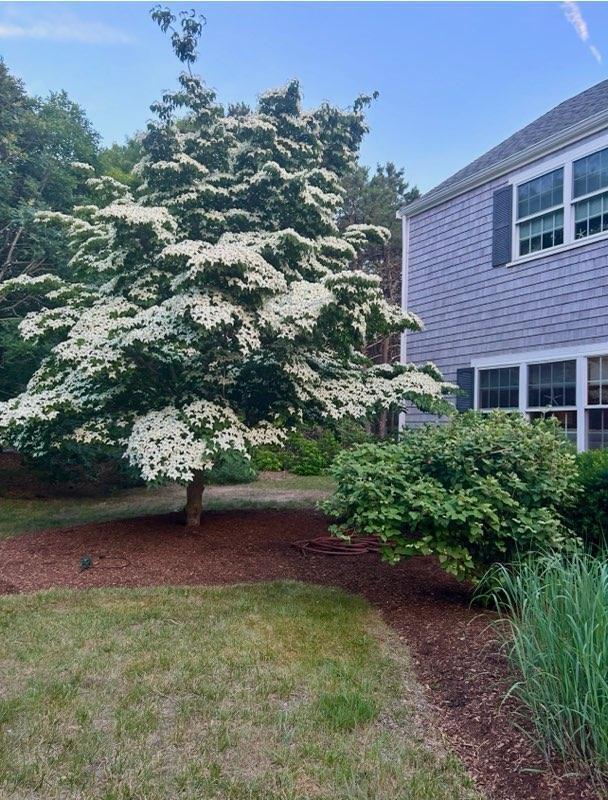 160 Quail Cover Lane Eastham MA 02642