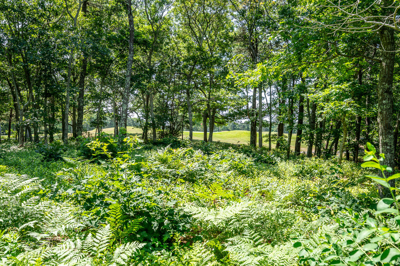 8 Macandrew Drive Dennis MA 02638