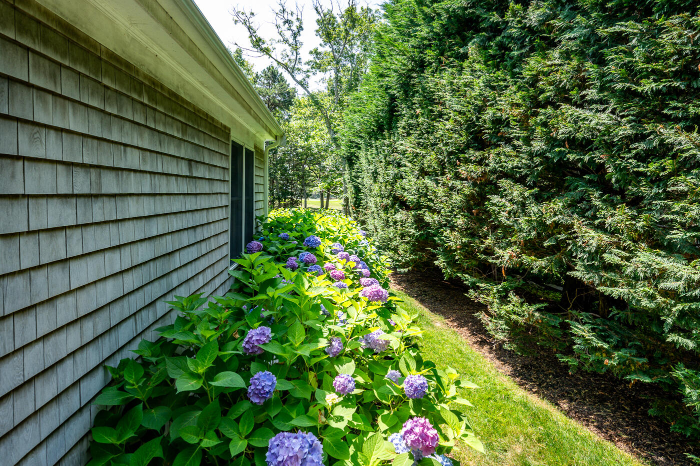 8 Macandrew Drive Dennis MA 02638