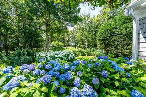 8 Macandrew Drive Dennis MA 02638