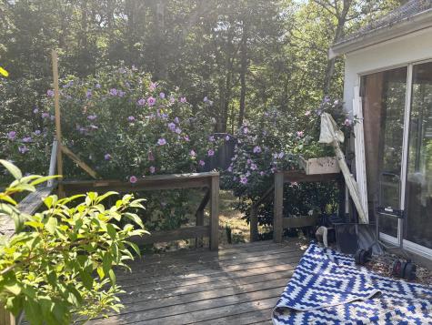8 Oakleaf Circle Harwich MA 02645
