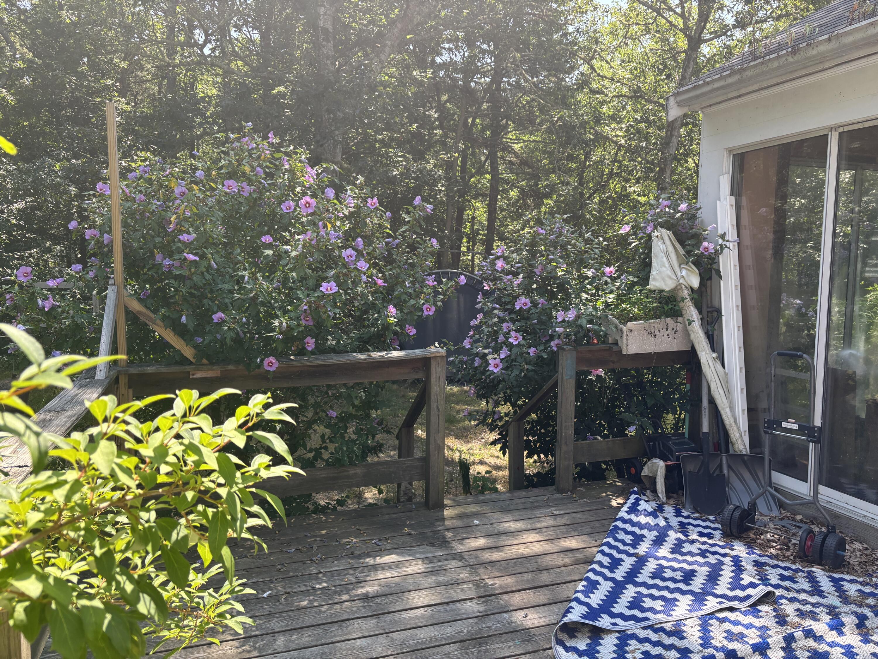 8 Oakleaf Circle Harwich MA 02645