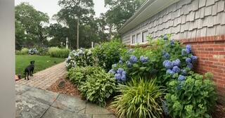 15 Sunset Pines Road Yarmouth MA 02664