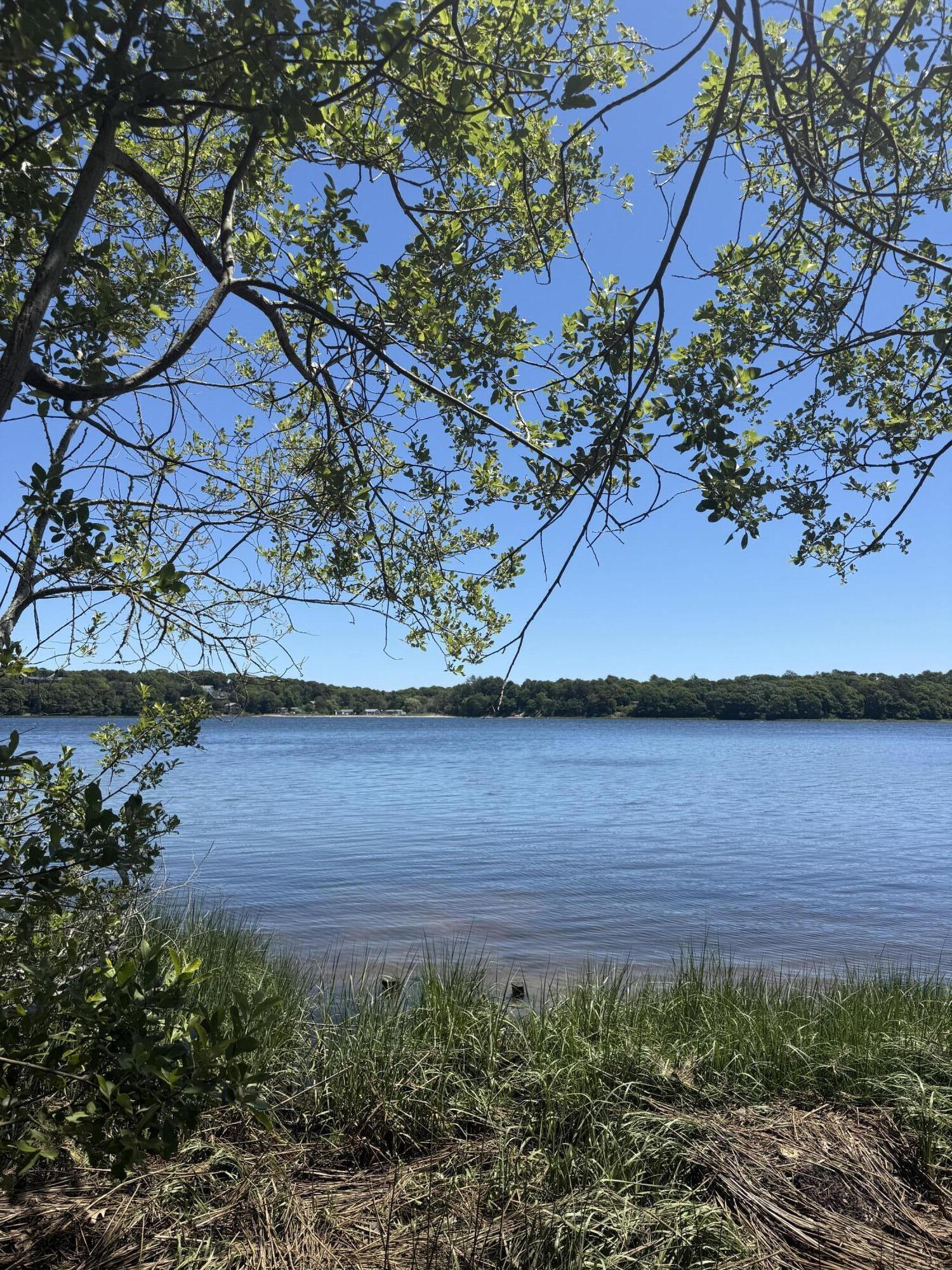 129 Driftwood Lane South Yarmouth MA 02664