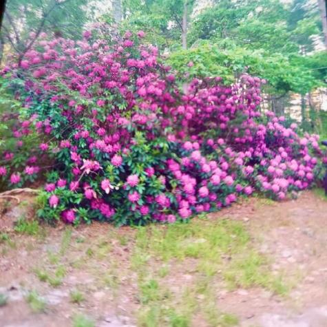 30 Crest Avenue Plymouth MA 02360