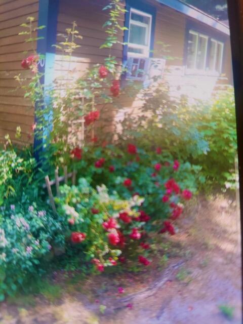 30 Crest Avenue Plymouth MA 02360