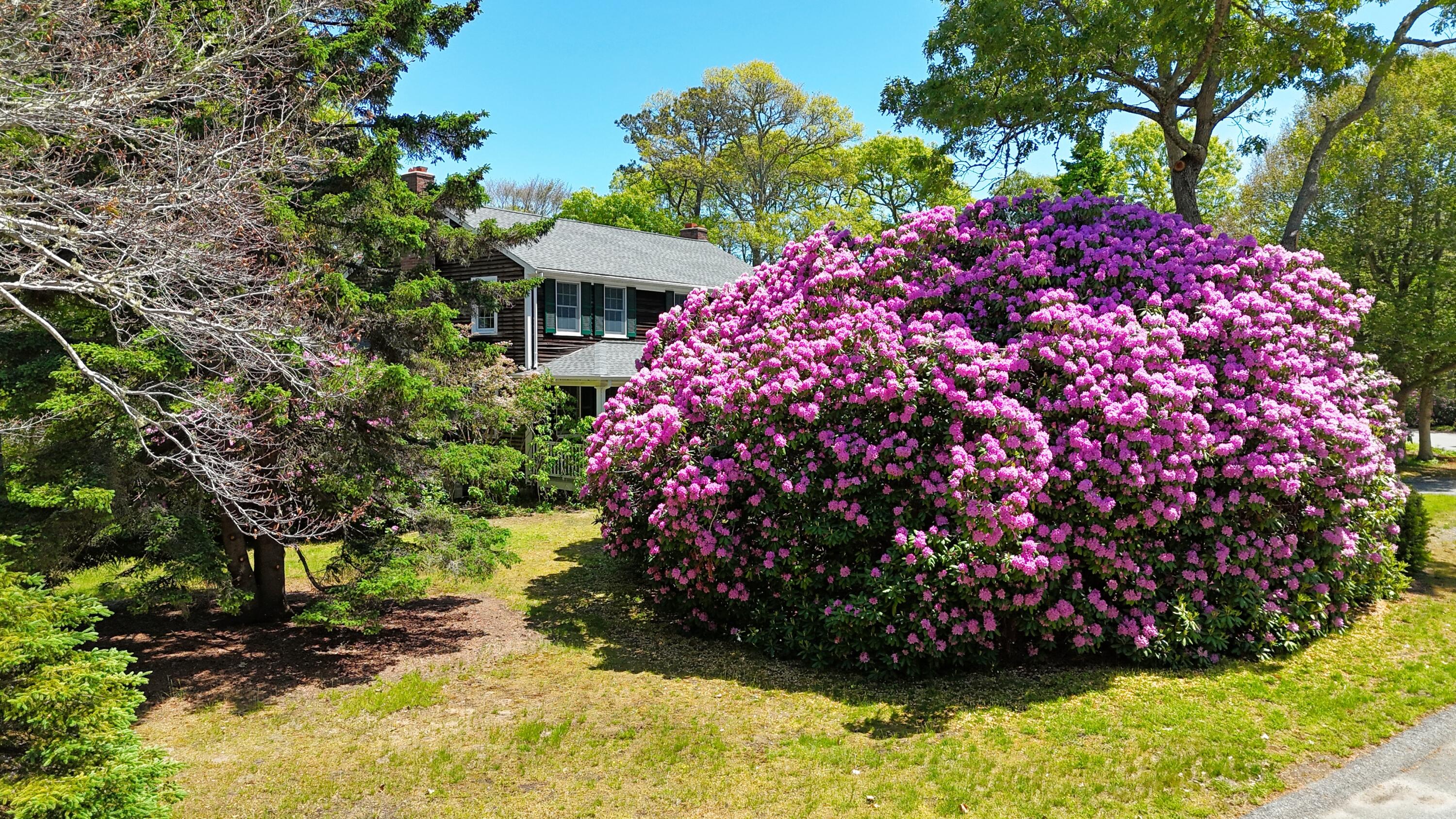 206 Landing Drive Brewster MA 02631