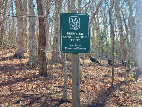 206 Landing Drive Brewster MA 02631