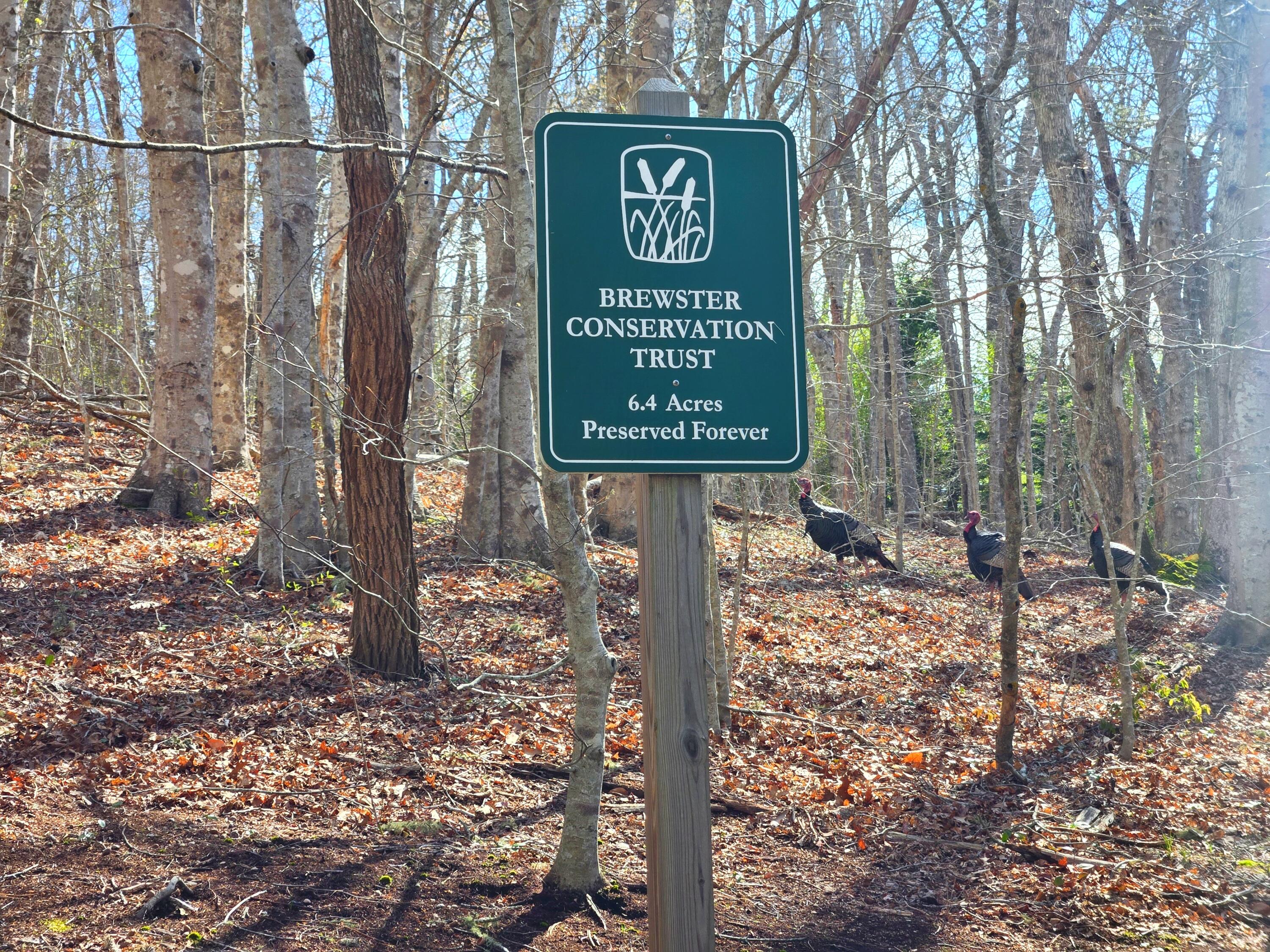 206 Landing Drive Brewster MA 02631