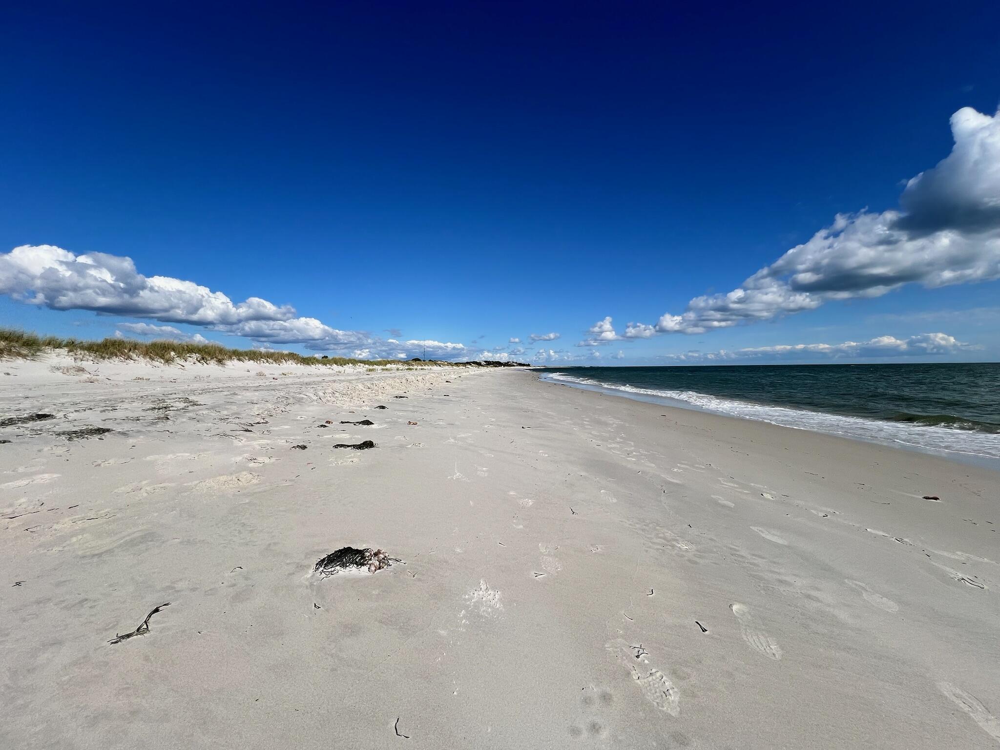 10 Mark Way Yarmouth MA 02673