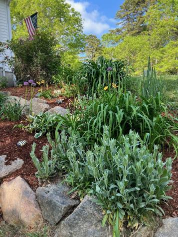 16 Balfour Lane Mashpee MA 02649